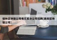 榆林区块链公司有几家分公司招聘[西安区块链公司]